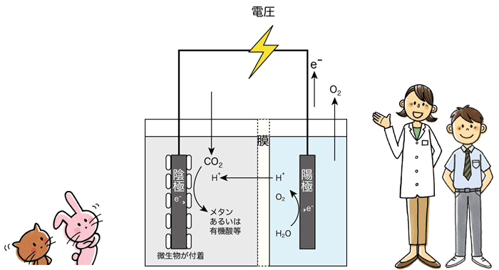 從CO 2產生物質的微生物電解
