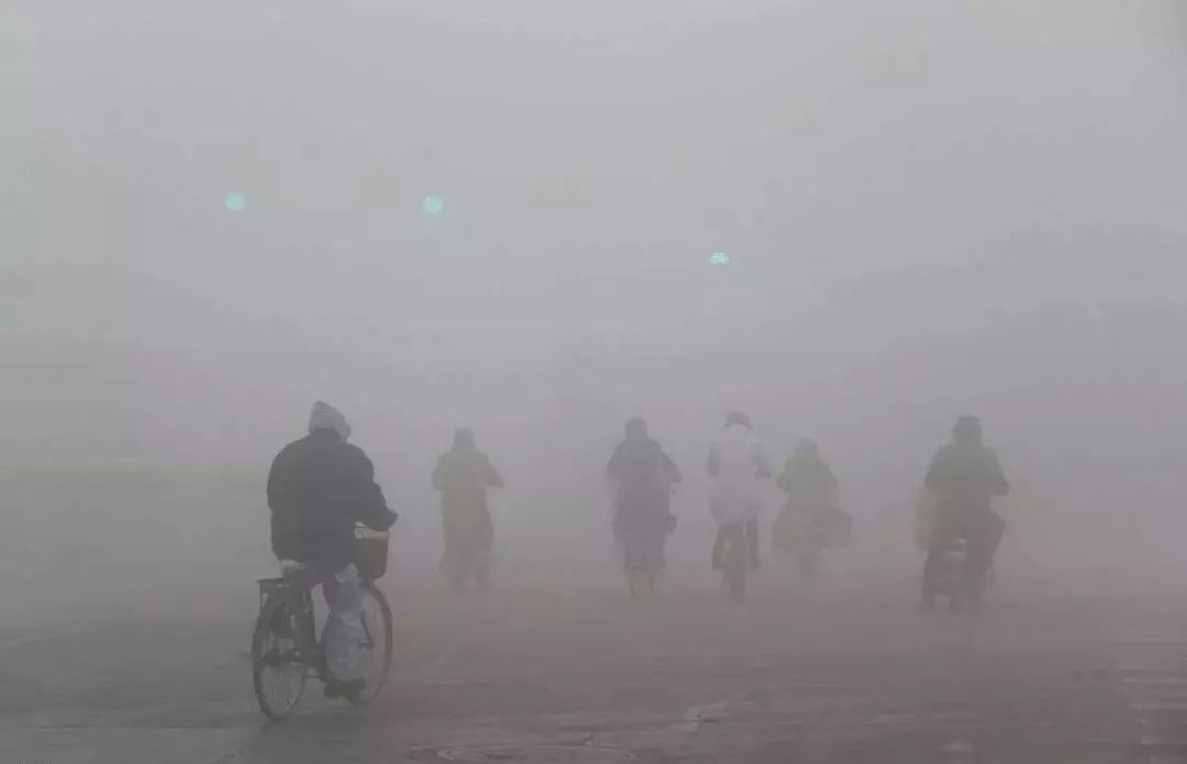 空氣污染如何殺死植物和動(dòng)物？