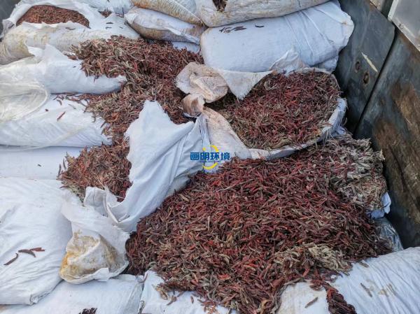 案例|某公司海關(guān)產(chǎn)品銷(xiāo)毀 案例|某公司海關(guān)產(chǎn)品銷(xiāo)毀